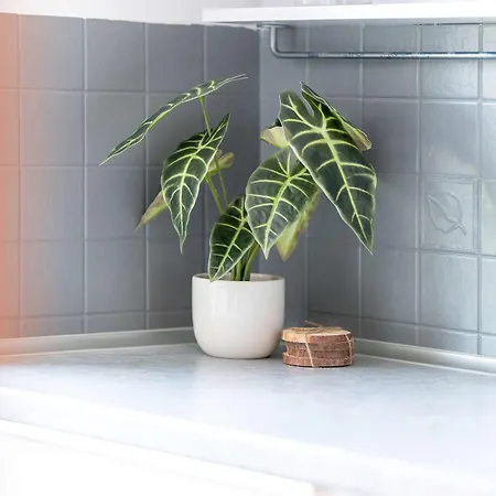 Charming With Parking And Balcony Near The Centre By Renters * Познань