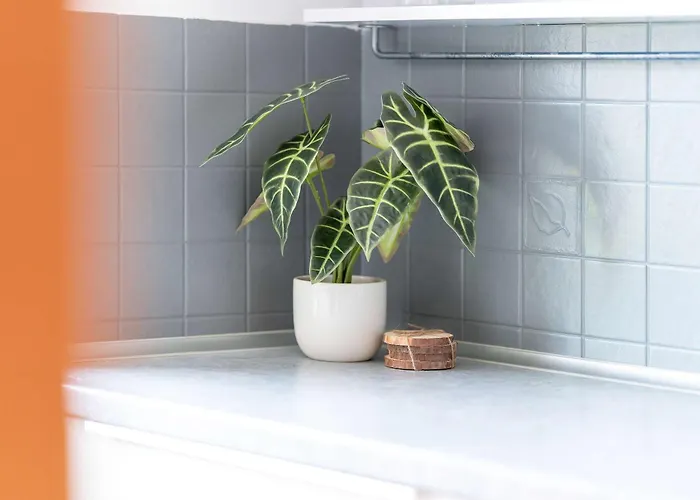 Charming With Parking And Balcony Near The Centre By Renters * Poznan